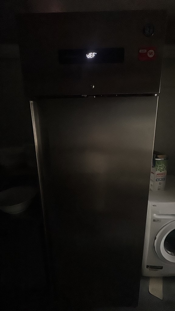 Upright cabinet showing dEF on the display next to an AEG washer